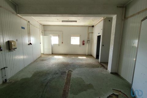 Erhvervsejendom i Gaviao, Portalegre, Gaviao - € 105.000 | Ref: 150378 - foto 6