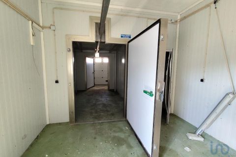 Erhvervsejendom i Gaviao, Portalegre, Gaviao - € 105.000 | Ref: 150378 - foto 8
