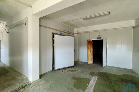 Erhvervsejendom i Gaviao, Portalegre, Gaviao - € 105.000 | Ref: 150378 - foto 9