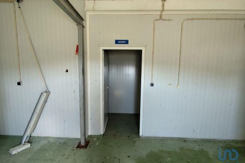 Erhvervsejendom i Gaviao, Portalegre, Gaviao - € 105.000 | Ref: 150378 - foto 10