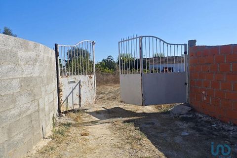 Tomt i Coruche, Santarem, Coruche - € 53 000 | Ref: 150374 - foto 3