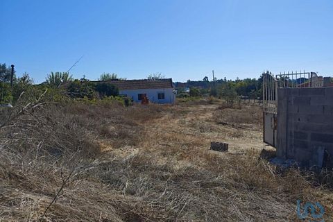 Tomt i Coruche, Santarem, Coruche - € 53 000 | Ref: 150374 - foto 9