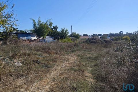 Tomt i Coruche, Santarem, Coruche - € 53 000 | Ref: 150374 - foto 11