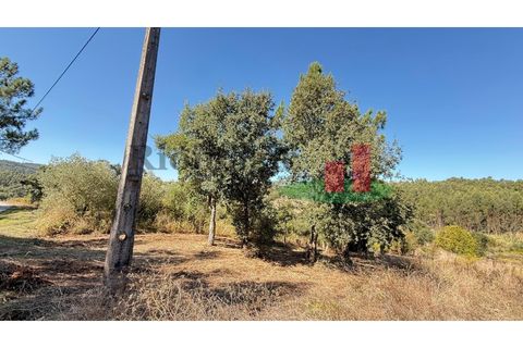 Helårsgrund i Rio Maior, Santarem, Rio Maior - € 9.000 | Ref: 238.25 - foto 2