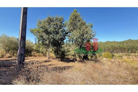 Helårsgrund i Rio Maior, Santarem, Rio Maior - € 9.000 | Ref: 238.25 - foto 3