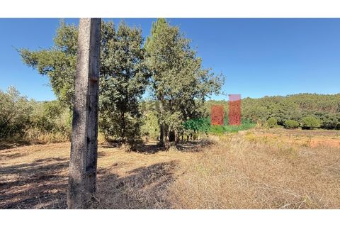 Helårsgrund i Rio Maior, Santarem, Rio Maior - € 9.000 | Ref: 238.25 - foto 4