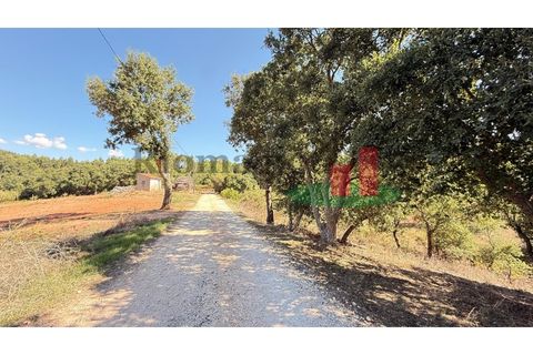 Helårsgrund i Rio Maior, Santarem, Rio Maior - € 9.000 | Ref: 238.25 - foto 5