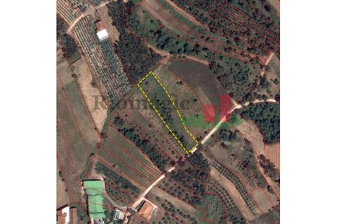 Helårsgrund i Rio Maior, Santarem, Rio Maior - € 9.000 | Ref: 238.25 - foto 6