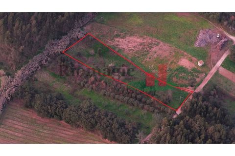 Helårsgrund i Rio Maior, Santarem, Rio Maior - € 9.000 | Ref: 238.25 - foto 1