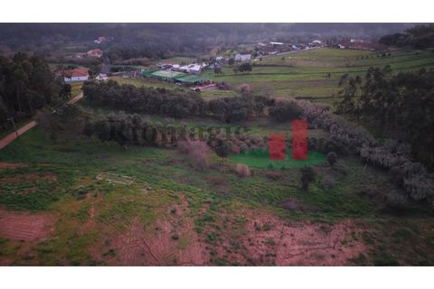 Helårsgrund i Rio Maior, Santarem, Rio Maior - € 9.000 | Ref: 238.25 - foto 7