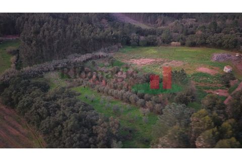 Helårsgrund i Rio Maior, Santarem, Rio Maior - € 9.000 | Ref: 238.25 - foto 8