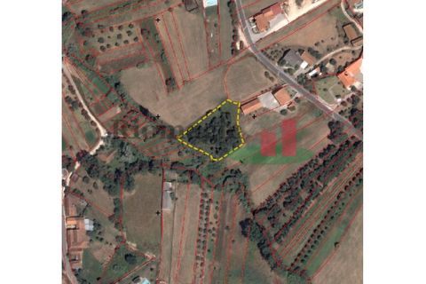 Helårsgrund i Rio Maior, Santarem, Rio Maior - € 9.000 | Ref: 244.25 - foto 1
