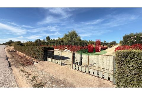 Helårsgrund i Rio Maior, Santarem, Rio Maior - € 145.000 | Ref: 232.25 - foto 3