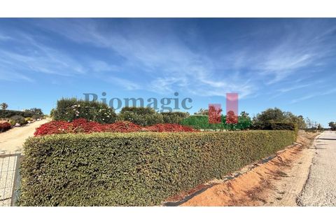 Helårsgrund i Rio Maior, Santarem, Rio Maior - € 145.000 | Ref: 232.25 - foto 4