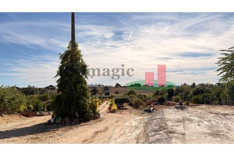 Helårsgrund i Rio Maior, Santarem, Rio Maior - € 145.000 | Ref: 232.25 - foto 11
