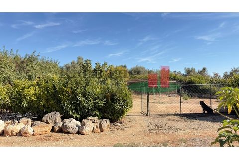 Helårsgrund i Rio Maior, Santarem, Rio Maior - € 145.000 | Ref: 232.25 - foto 14