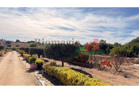 Helårsgrund i Rio Maior, Santarem, Rio Maior - € 145.000 | Ref: 232.25 - foto 15