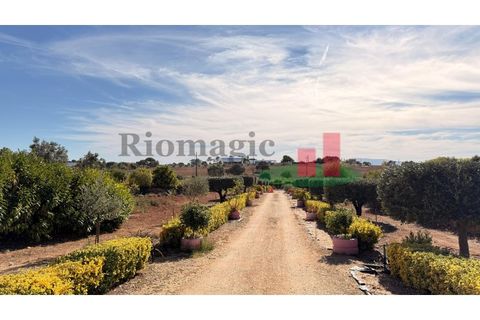 Helårsgrund i Rio Maior, Santarem, Rio Maior - € 145.000 | Ref: 232.25 - foto 16
