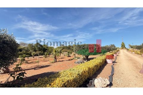 Helårsgrund i Rio Maior, Santarem, Rio Maior - € 145.000 | Ref: 232.25 - foto 19
