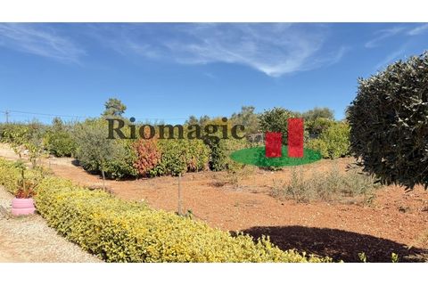 Helårsgrund i Rio Maior, Santarem, Rio Maior - € 145.000 | Ref: 232.25 - foto 20