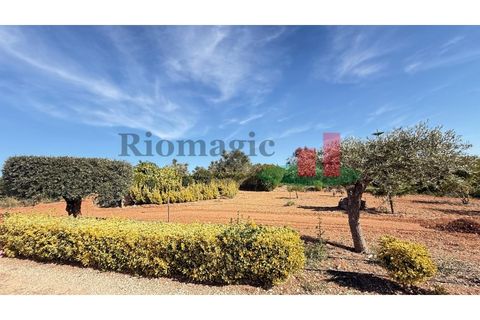 Helårsgrund i Rio Maior, Santarem, Rio Maior - € 145.000 | Ref: 232.25 - foto 21