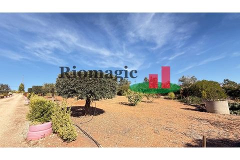 Helårsgrund i Rio Maior, Santarem, Rio Maior - € 145.000 | Ref: 232.25 - foto 23