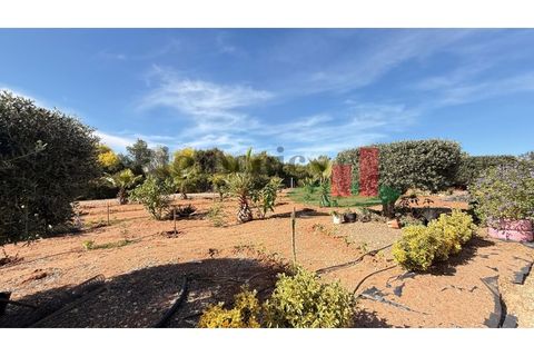 Helårsgrund i Rio Maior, Santarem, Rio Maior - € 145.000 | Ref: 232.25 - foto 24