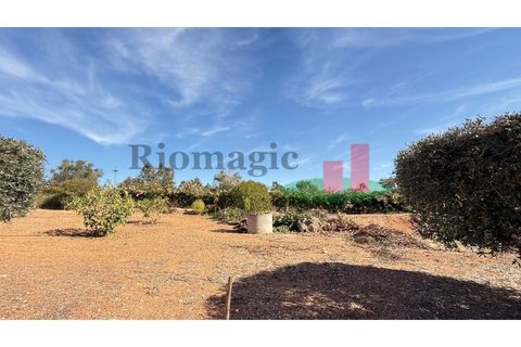 Helårsgrund i Rio Maior, Santarem, Rio Maior - € 145.000 | Ref: 232.25 - foto 25