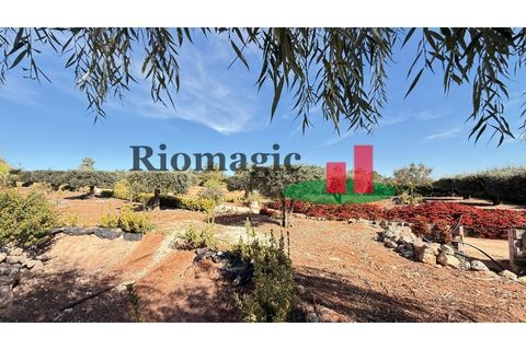 Helårsgrund i Rio Maior, Santarem, Rio Maior - € 145.000 | Ref: 232.25 - foto 26