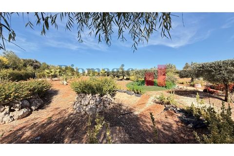 Helårsgrund i Rio Maior, Santarem, Rio Maior - € 145.000 | Ref: 232.25 - foto 28