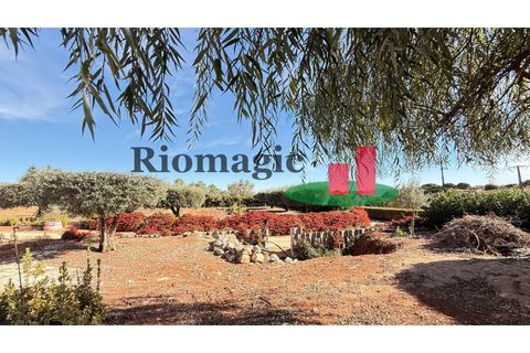 Helårsgrund i Rio Maior, Santarem, Rio Maior - € 145.000 | Ref: 232.25 - foto 29
