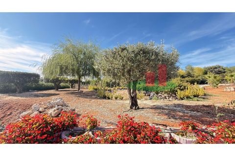 Helårsgrund i Rio Maior, Santarem, Rio Maior - € 145.000 | Ref: 232.25 - foto 31