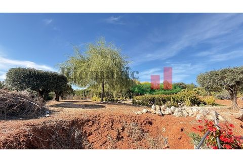 Helårsgrund i Rio Maior, Santarem, Rio Maior - € 145.000 | Ref: 232.25 - foto 32