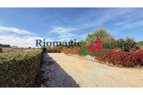 Helårsgrund i Rio Maior, Santarem, Rio Maior - € 145.000 | Ref: 232.25 - foto 34
