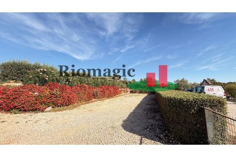 Helårsgrund i Rio Maior, Santarem, Rio Maior - € 145.000 | Ref: 232.25 - foto 35
