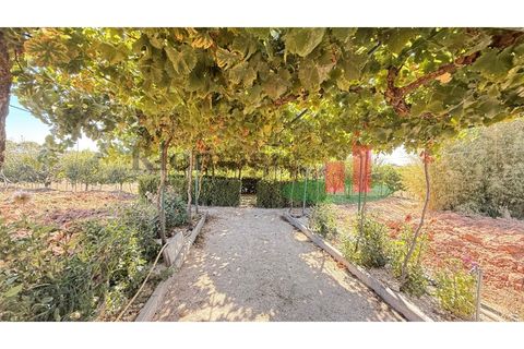 Helårsgrund i Rio Maior, Santarem, Rio Maior - € 145.000 | Ref: 232.25 - foto 39