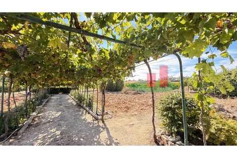Helårsgrund i Rio Maior, Santarem, Rio Maior - € 145.000 | Ref: 232.25 - foto 40