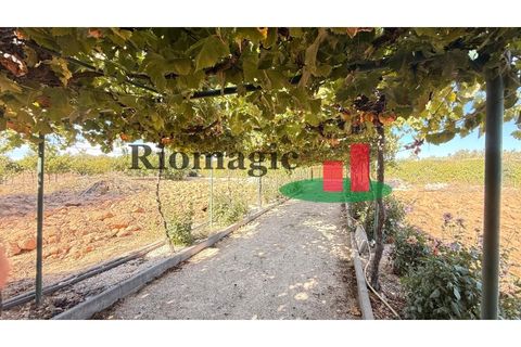 Helårsgrund i Rio Maior, Santarem, Rio Maior - € 145.000 | Ref: 232.25 - foto 41
