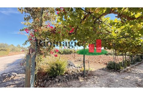 Helårsgrund i Rio Maior, Santarem, Rio Maior - € 145.000 | Ref: 232.25 - foto 42