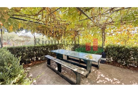 Helårsgrund i Rio Maior, Santarem, Rio Maior - € 145.000 | Ref: 232.25 - foto 43