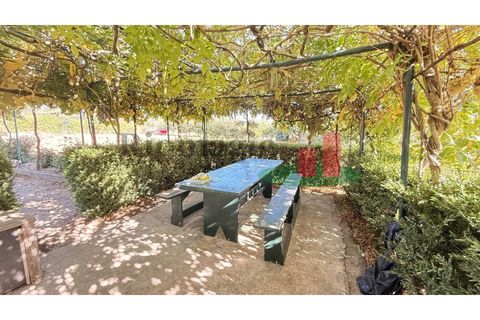 Helårsgrund i Rio Maior, Santarem, Rio Maior - € 145.000 | Ref: 232.25 - foto 44