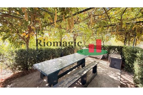 Helårsgrund i Rio Maior, Santarem, Rio Maior - € 145.000 | Ref: 232.25 - foto 45