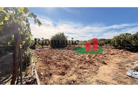 Helårsgrund i Rio Maior, Santarem, Rio Maior - € 145.000 | Ref: 232.25 - foto 47
