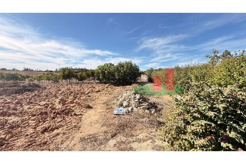Helårsgrund i Rio Maior, Santarem, Rio Maior - € 145.000 | Ref: 232.25 - foto 48