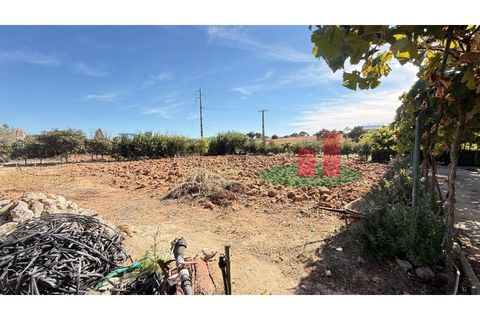 Helårsgrund i Rio Maior, Santarem, Rio Maior - € 145.000 | Ref: 232.25 - foto 49