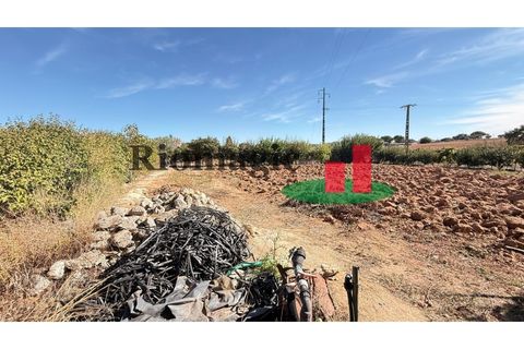 Helårsgrund i Rio Maior, Santarem, Rio Maior - € 145.000 | Ref: 232.25 - foto 50