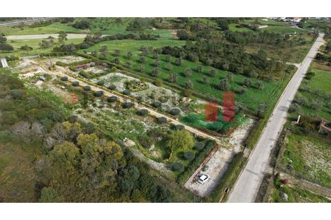 Helårsgrund i Rio Maior, Santarem, Rio Maior - € 145.000 | Ref: 232.25 - foto 1