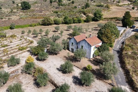Tomt i Sobral Pichorro e Fuinhas, Guarda, Sobral Pichorro e Fuinhas - € 115 000 | Ref: C0203-02516 - foto 2
