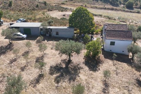 Tomt i Sobral Pichorro e Fuinhas, Guarda, Sobral Pichorro e Fuinhas - € 115 000 | Ref: C0203-02516 - foto 3
