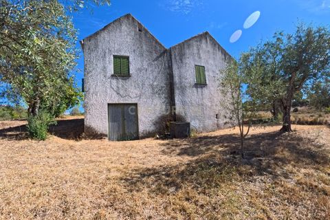 Tomt i Sobral Pichorro e Fuinhas, Guarda, Sobral Pichorro e Fuinhas - € 115 000 | Ref: C0203-02516 - foto 6